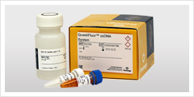 QuantiFluor&reg; ssDNA System